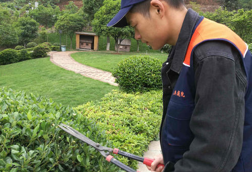 園林生態(tài)養(yǎng)護(hù)