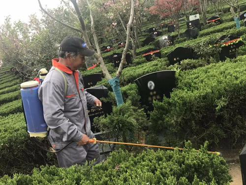 園林生態(tài)養(yǎng)護(hù)