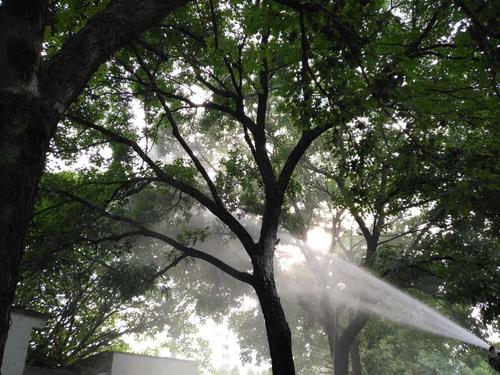 園林生態(tài)養(yǎng)護(hù)